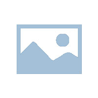 印度20％基本关税影响